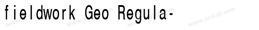 fieldwork Geo Regula字体转换